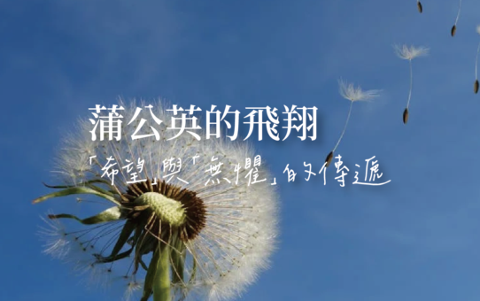 【蒲公英的飛翔「希望」與「無懼」的傳遞】
