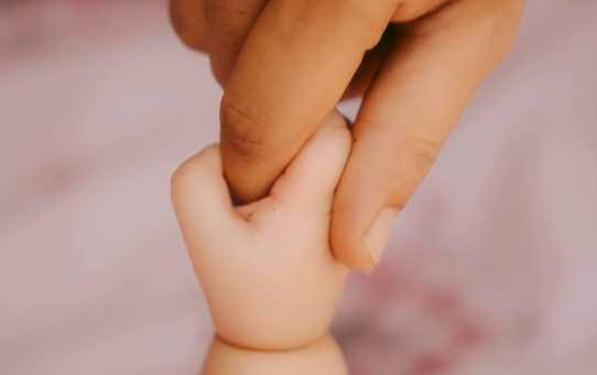 【向光而生 ✨ 裂縫中的花朵，也能看見陽光】